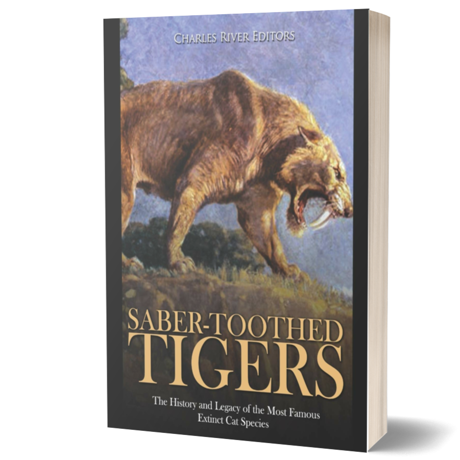 Saber-Toothed Tigers: The History and Legacy of the Most Famous Extinct Cat Species