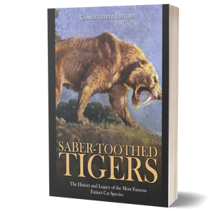 Saber-Toothed Tigers: The History and Legacy of the Most Famous Extinct Cat Species