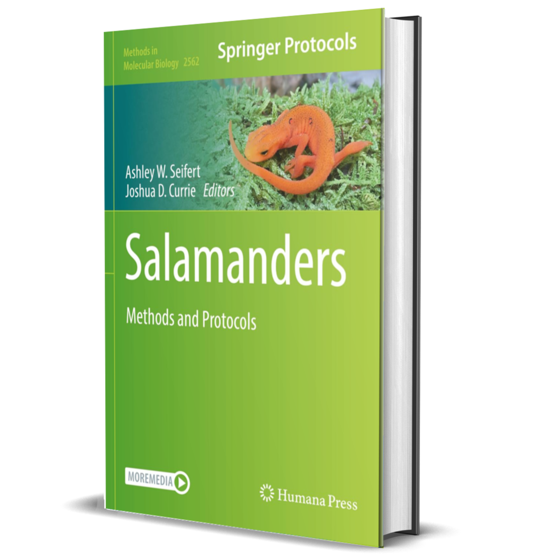 Salamanders: Methods and Protocols (Methods in Molecular Biology, 2562)