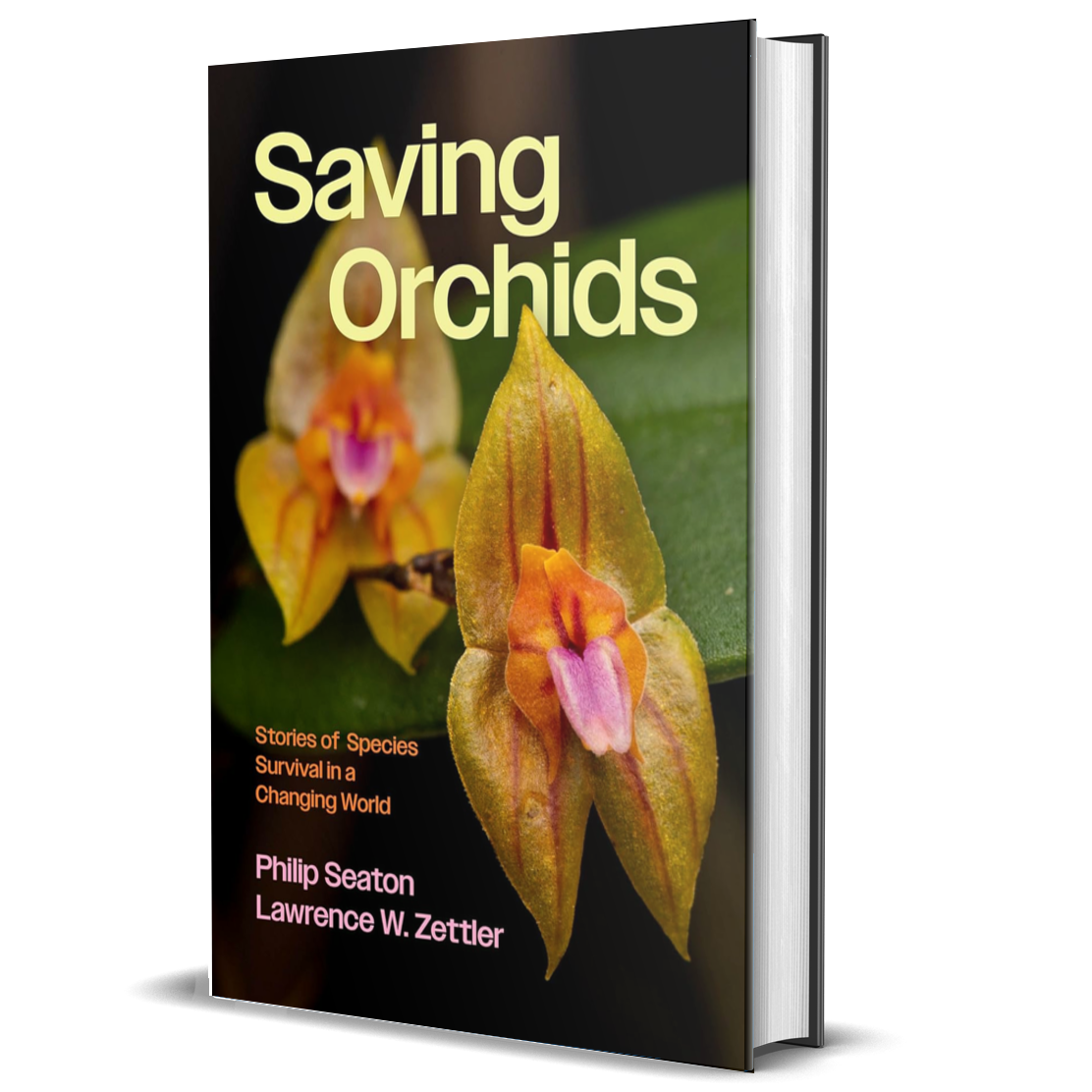 Saving Orchids: Stories of Species Survival in a Changing World