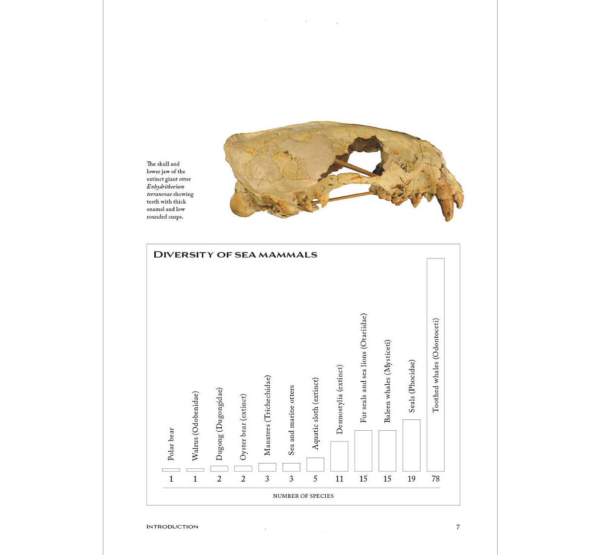 Sea Mammals The Past and Present Lives of Our Oceans’ Cornerstone Species