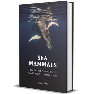 Sea Mammals The Past and Present Lives of Our Oceans’ Cornerstone Species