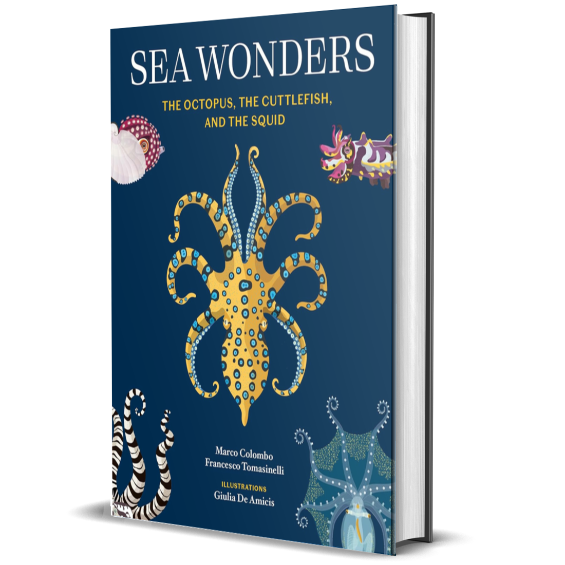 Sea Wonders: The Octopus, the Cuttlefish, and the Squid