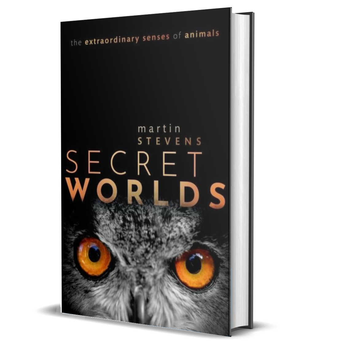 Secret Worlds: The extraordinary senses of animals