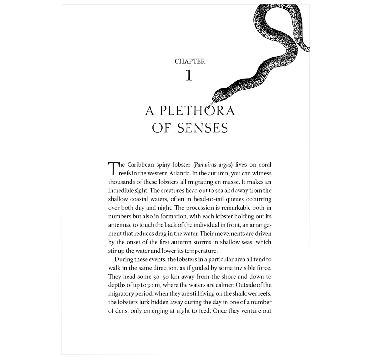 Secret Worlds: The extraordinary senses of animals