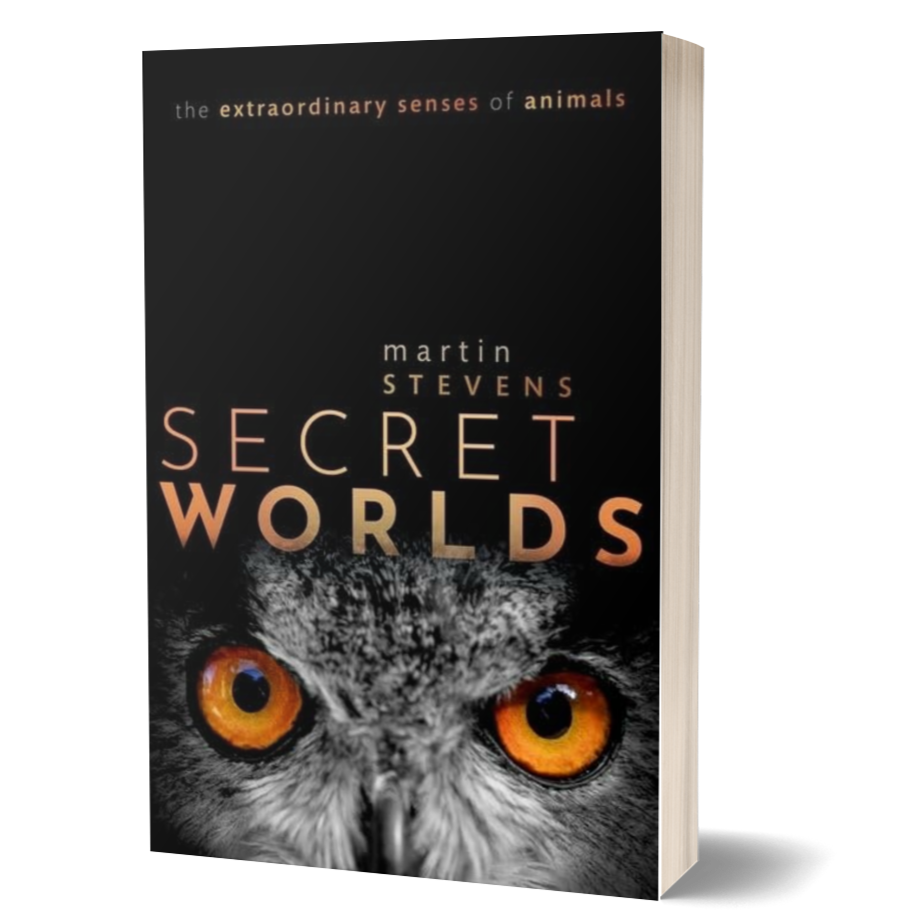 Secret Worlds: The extraordinary senses of animals