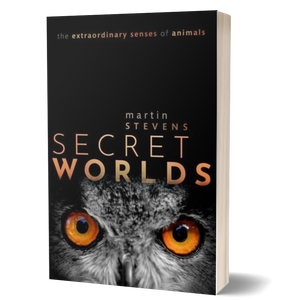 Secret Worlds: The extraordinary senses of animals