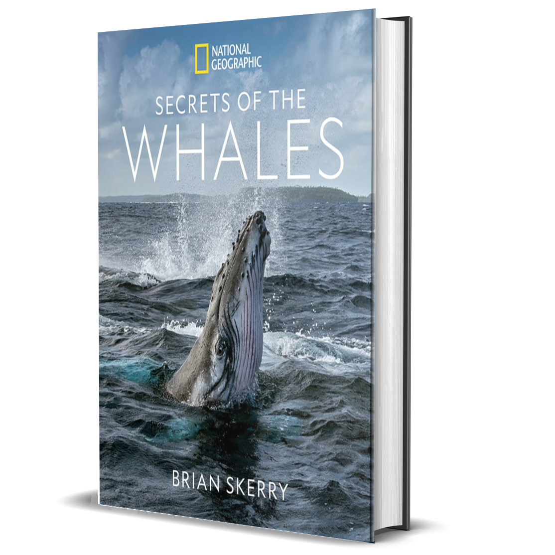 Secrets of the Whales