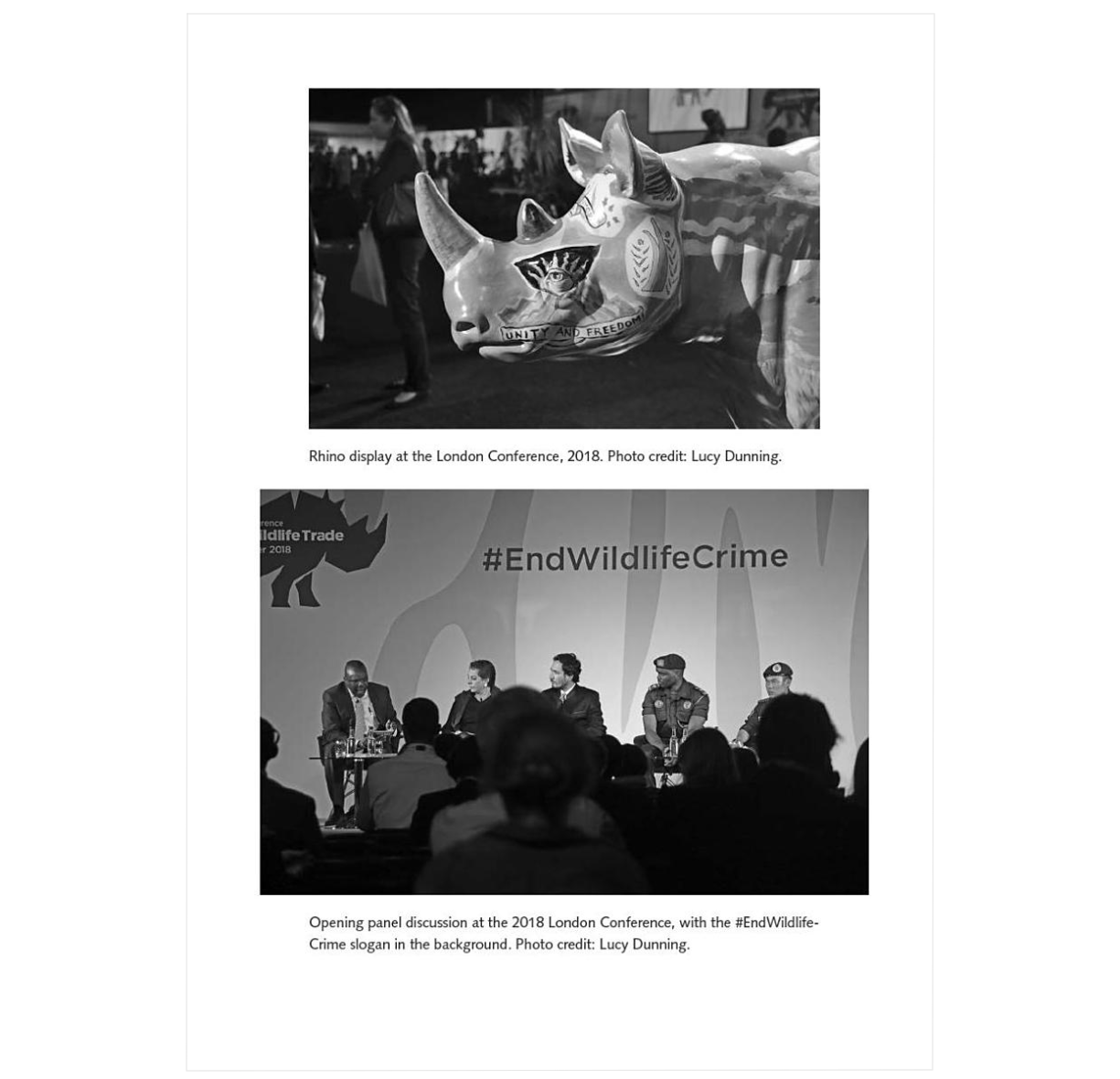 Security and Conservation: The Politics of the Illegal Wildlife Trade