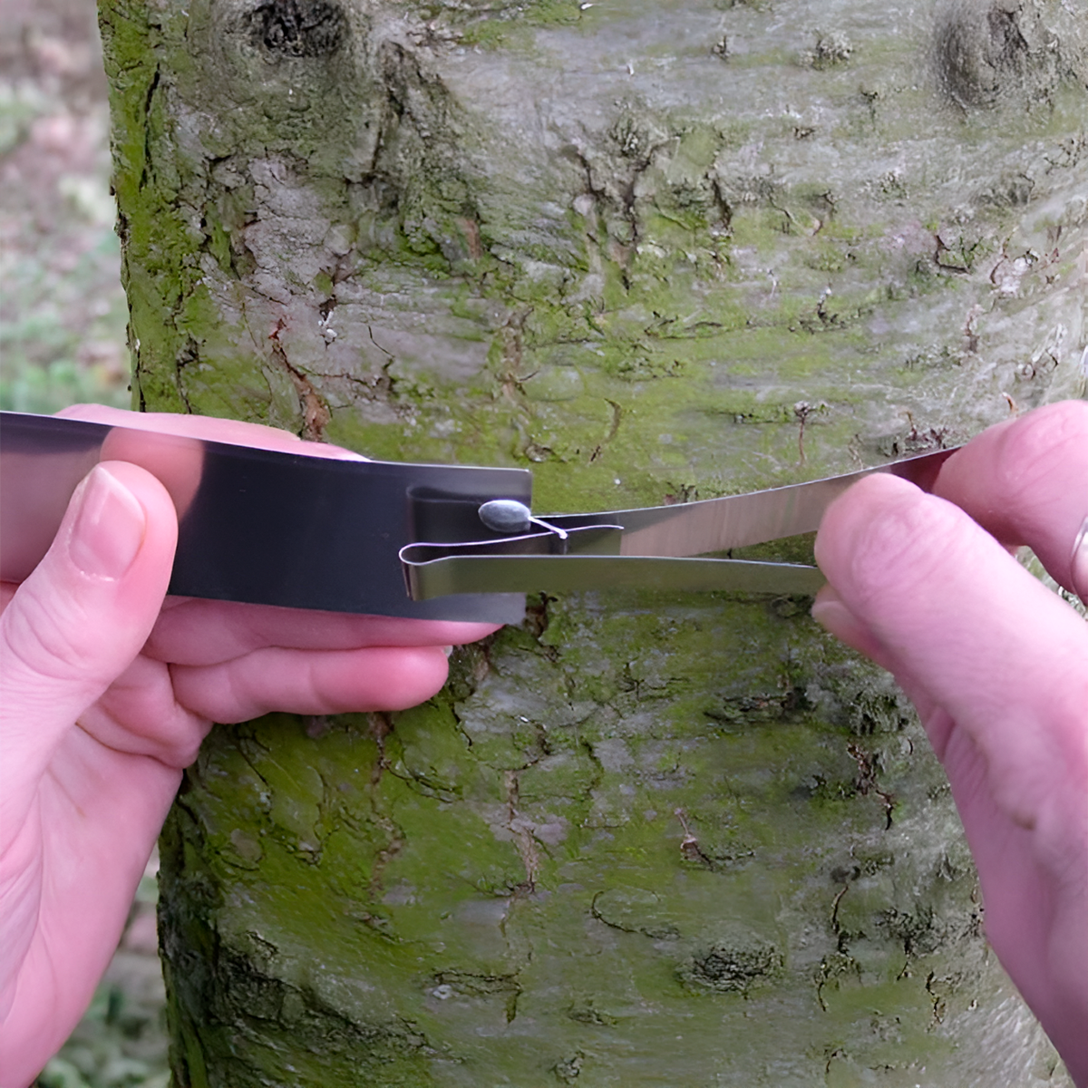 Sensor de Incremento Dendrométrico DB20 com Fita de Aço Inoxidável a partir de 8 cm