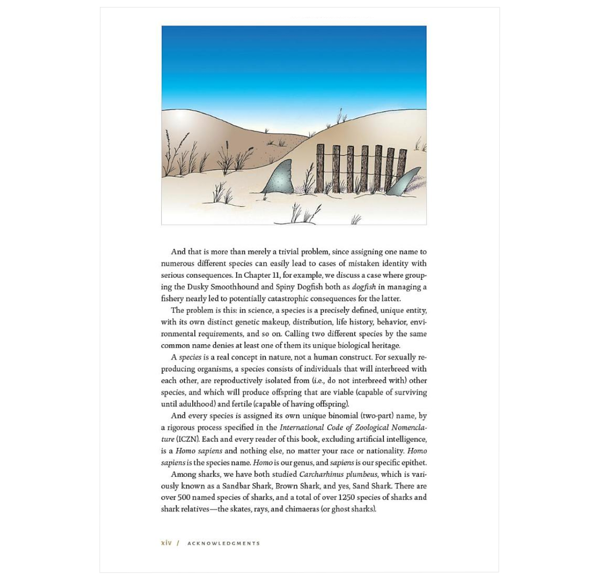 Shark Biology and Conservation: Essentials for Educators, Students, and Enthusiasts