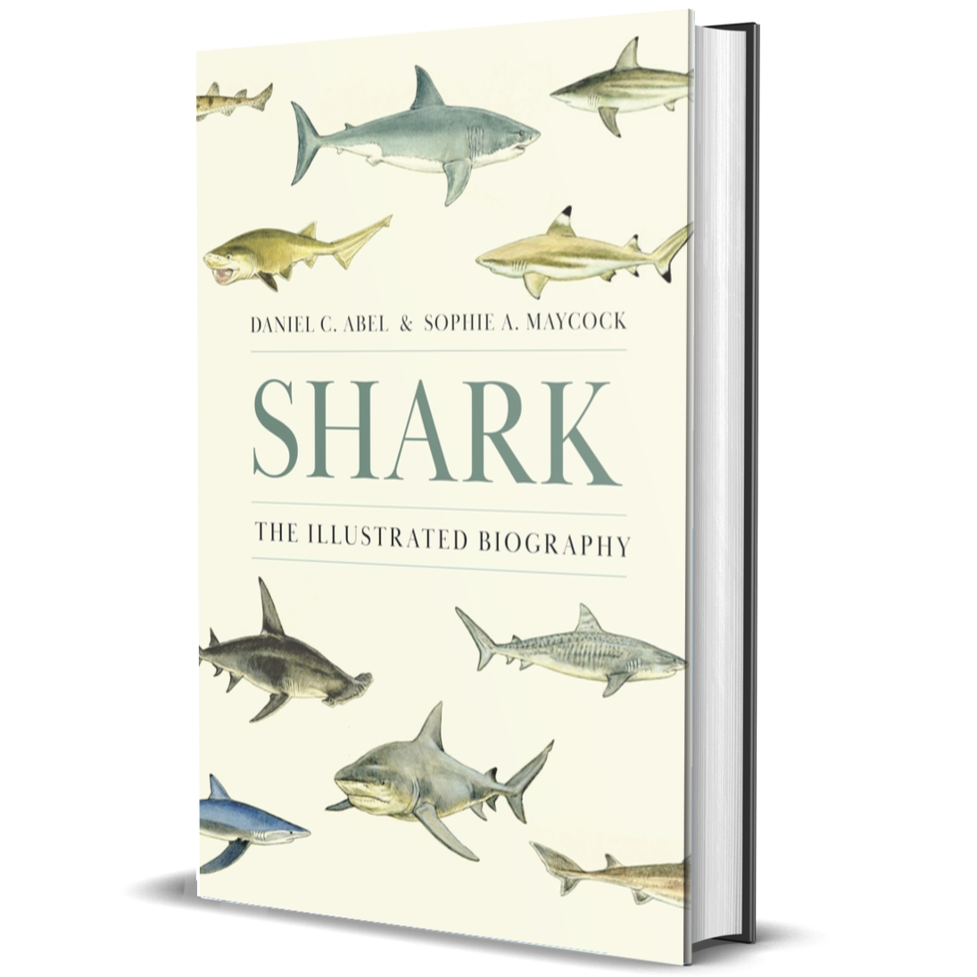 Shark: The Illustrated Biography