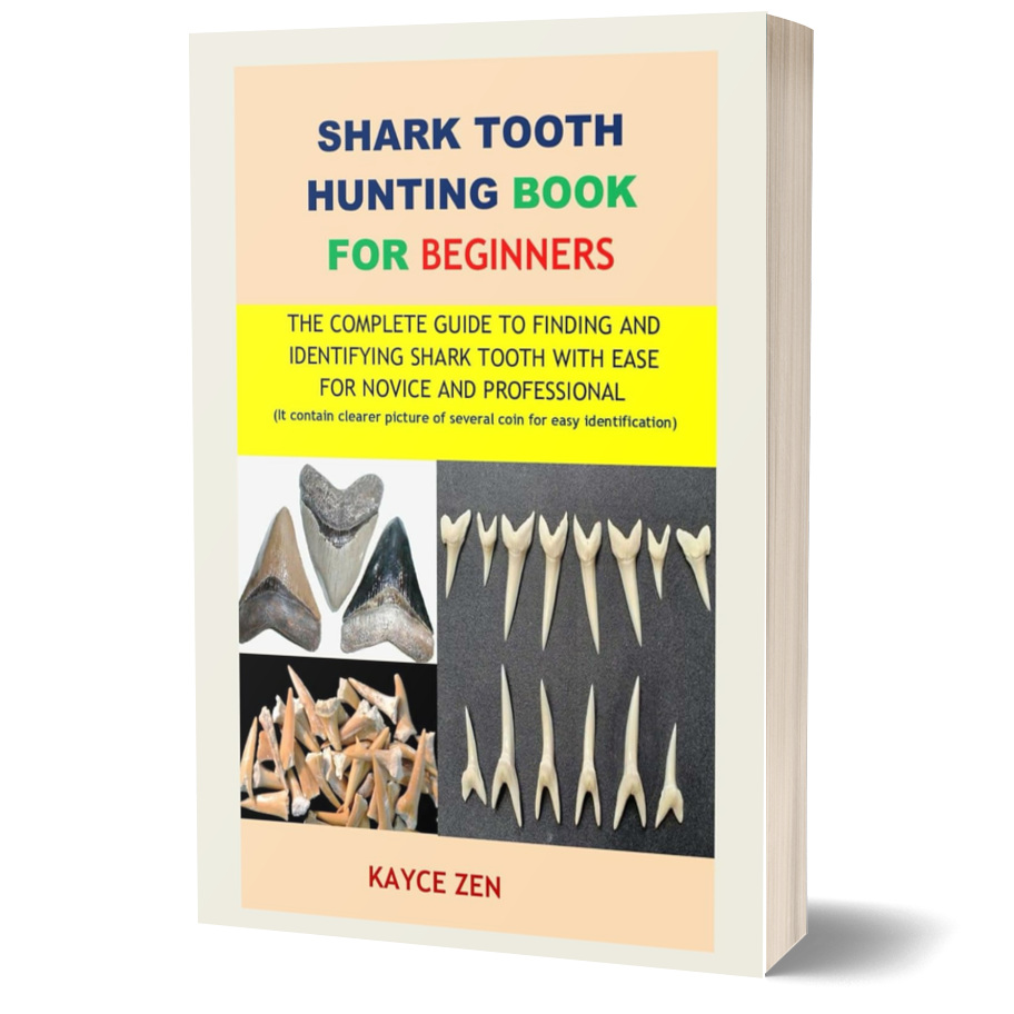 Shark Tooth Hunting Book for Beginners: The Complete Guide to Finding and Identifying Shark Teeth with Ease for Novice and Professional ²⁵