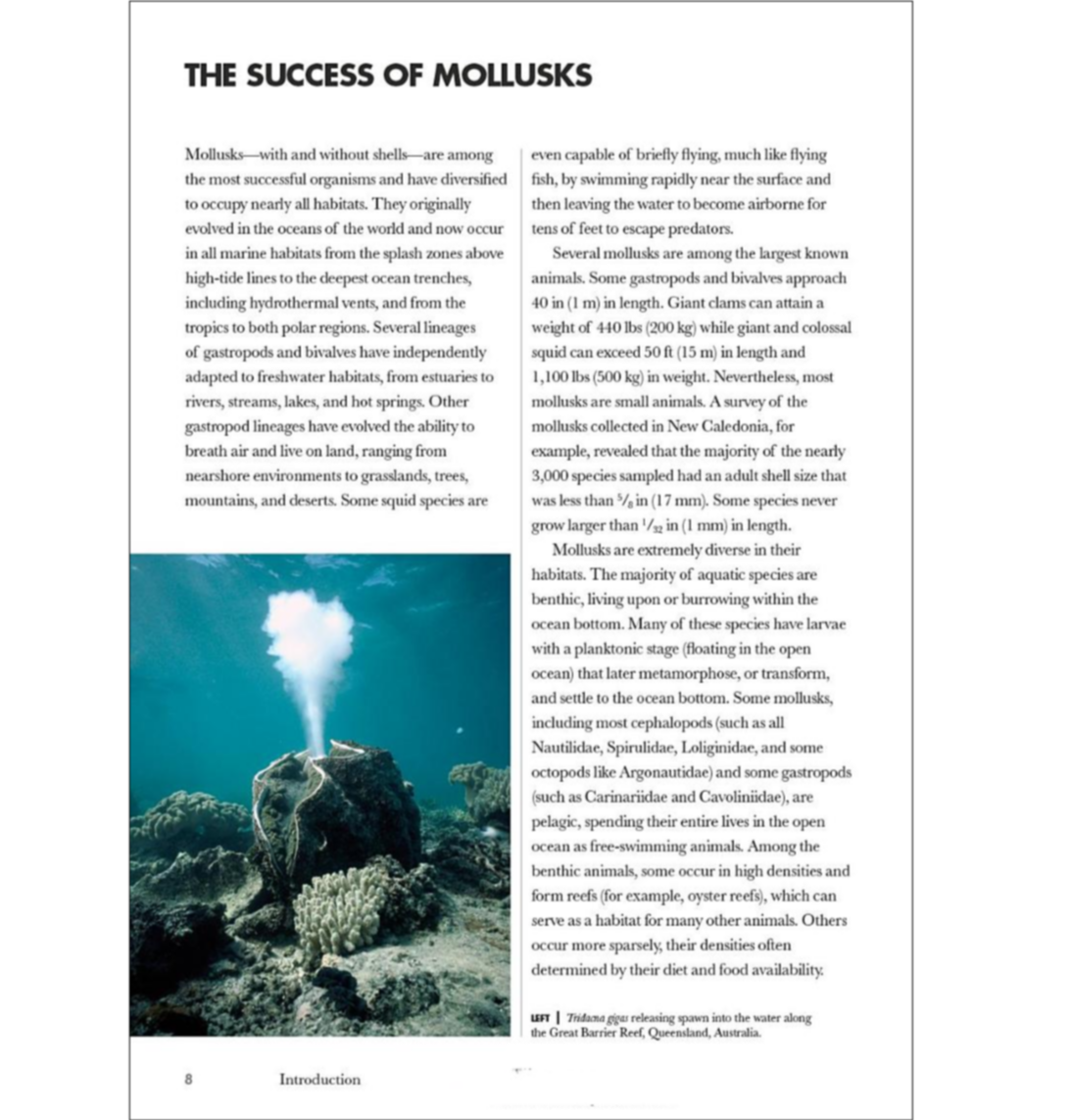 Shells of the World: A Natural History