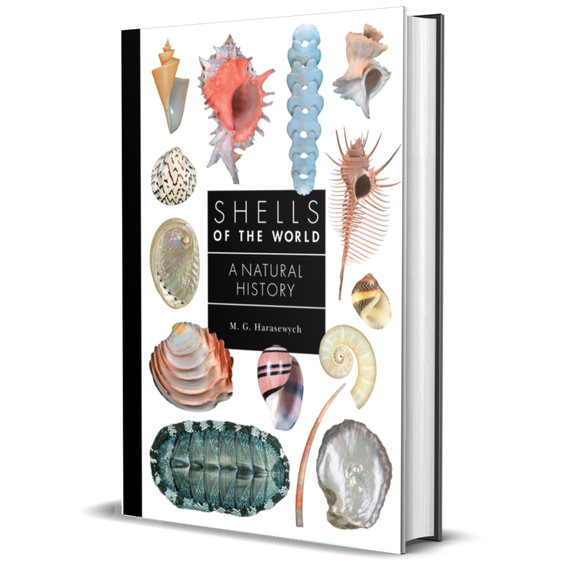 Shells of the World: A Natural History