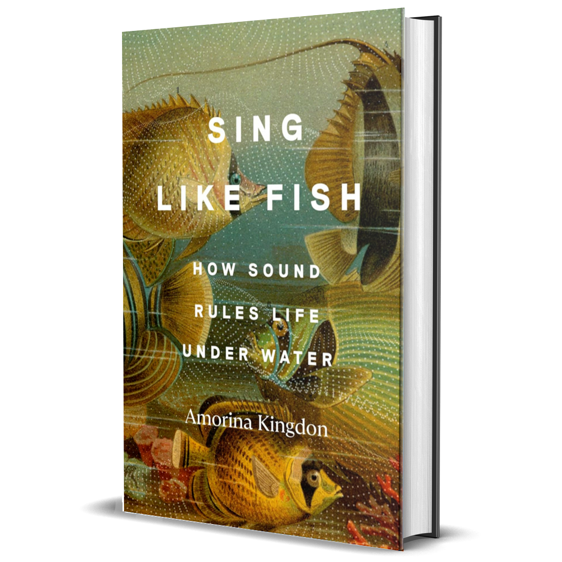 Sing Like Fish: How Sound Rules Life Under Water