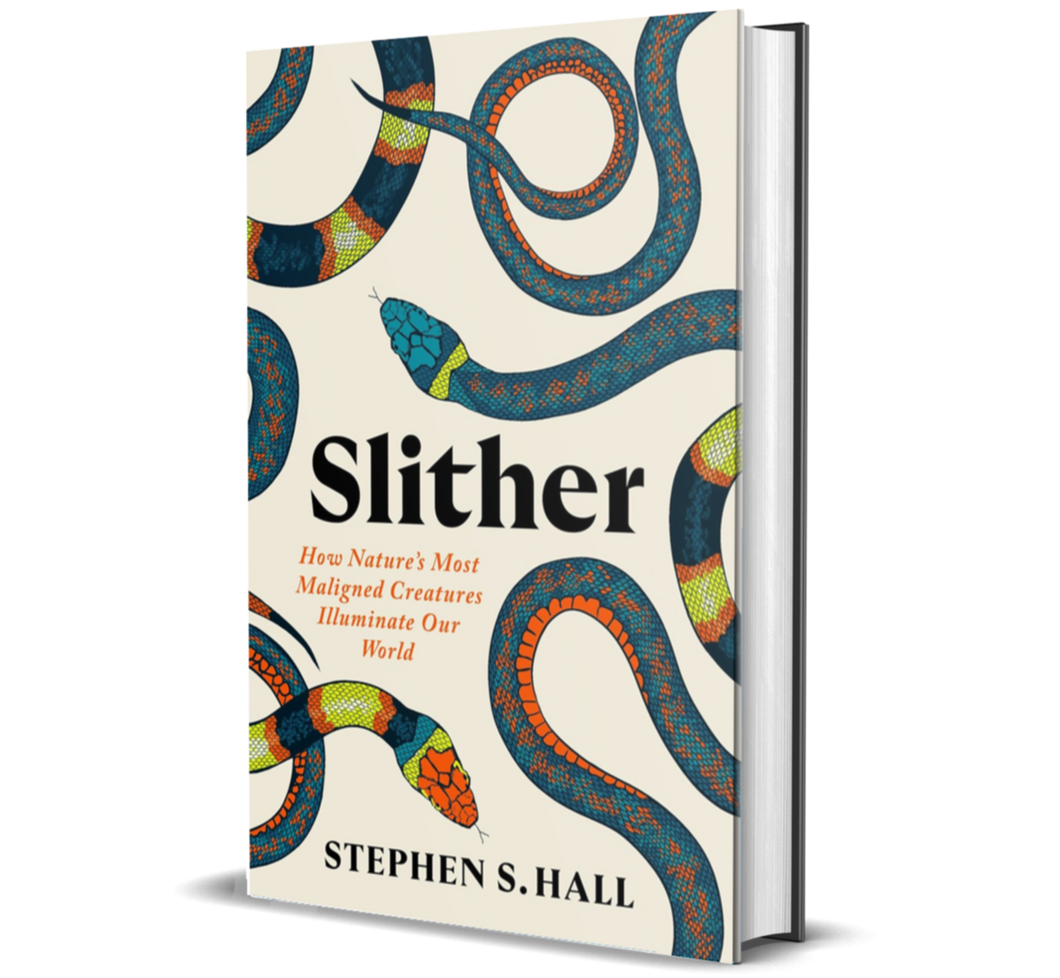 Slither: How Nature’s Most Maligned Creatures Illuminate Our World