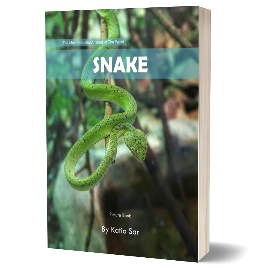 Snake: A Perfect Coffee Table Picture Book - For Animal Lovers and Wildlife Enthusiasts