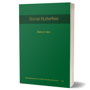 Social Butterflies