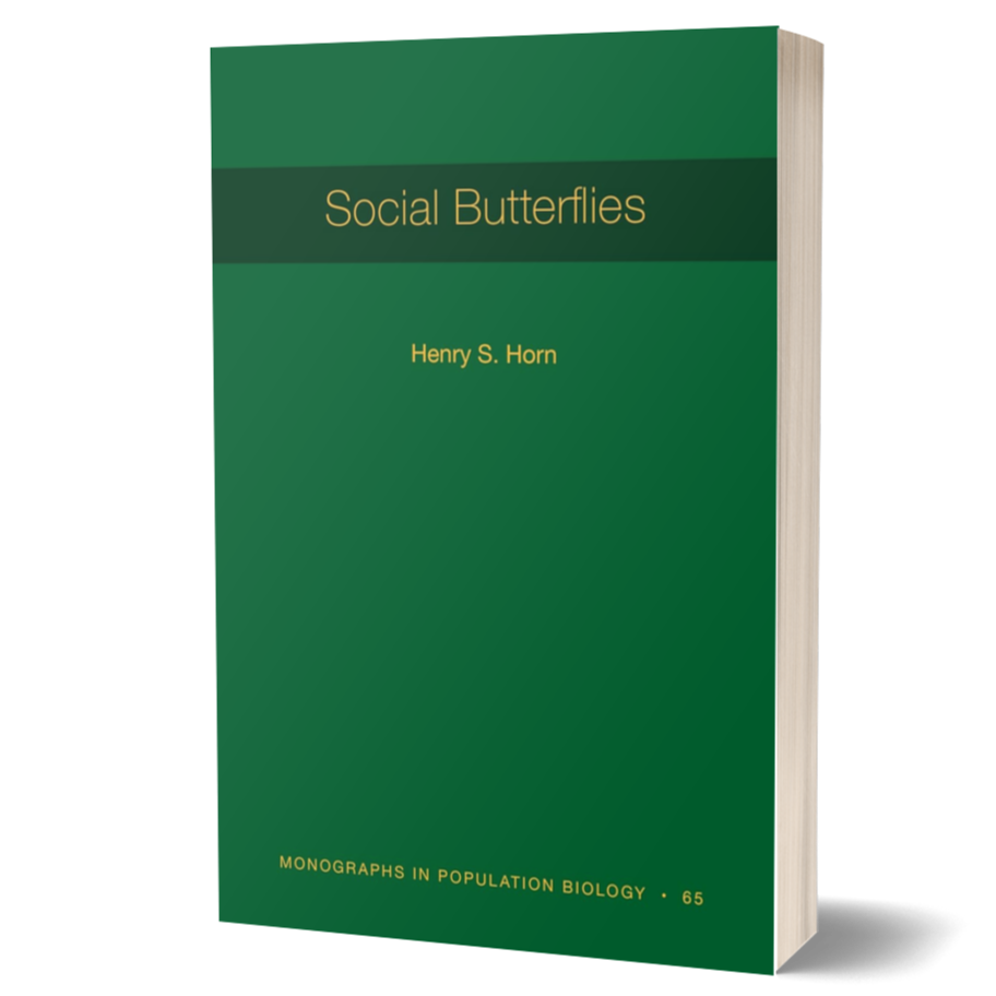 Social Butterflies