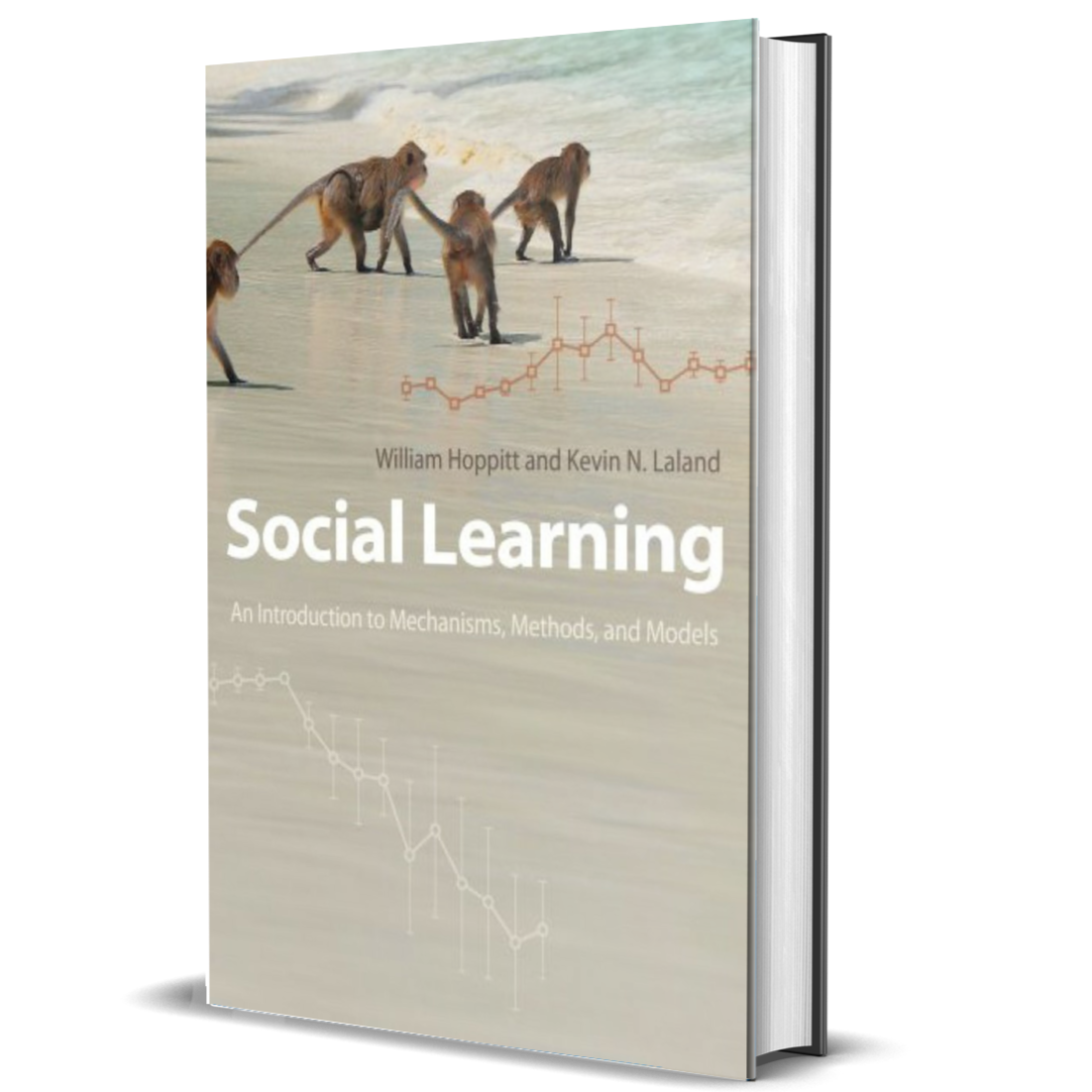 Social Learning: An Introduction to Mechanisms, Methods, and Models