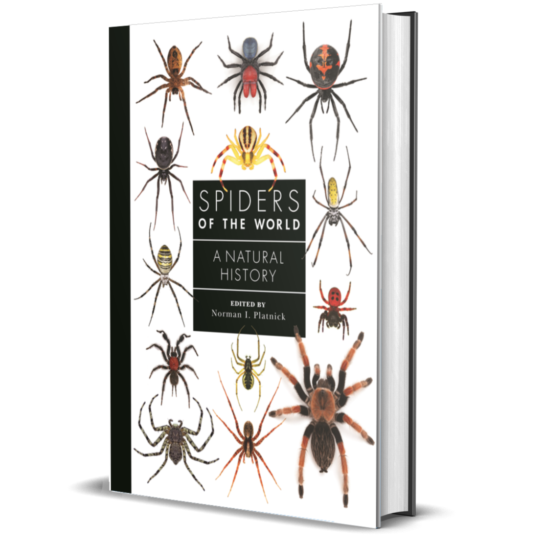 Famous Spiders Spiders of the World: A Natural History ²⁶ - BIOWEB Brasil