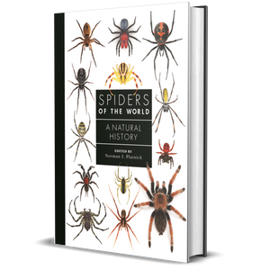 Spiders of the World: A Natural History