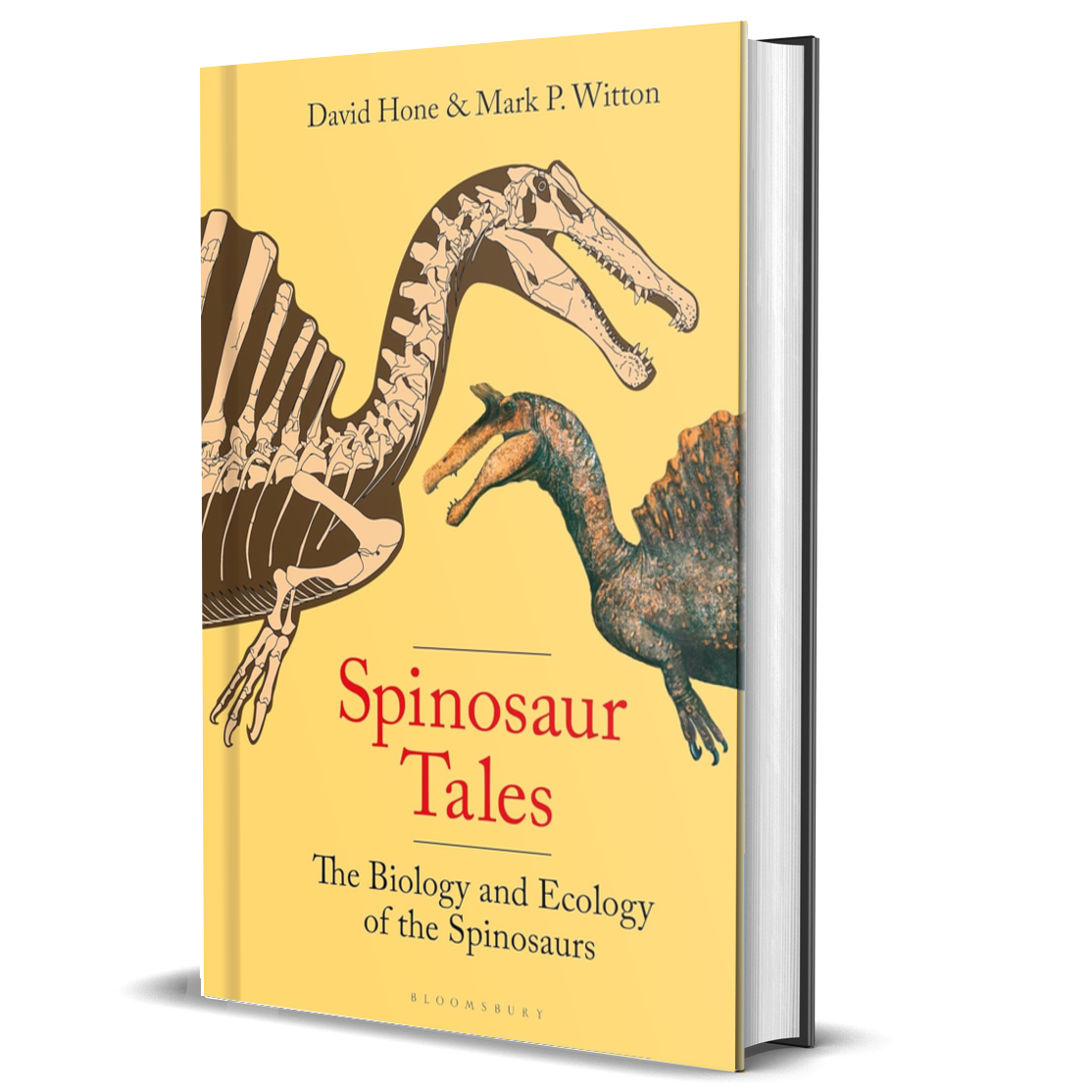 Spinosaur Tales: The Biology and Ecology of the Spinosaurs