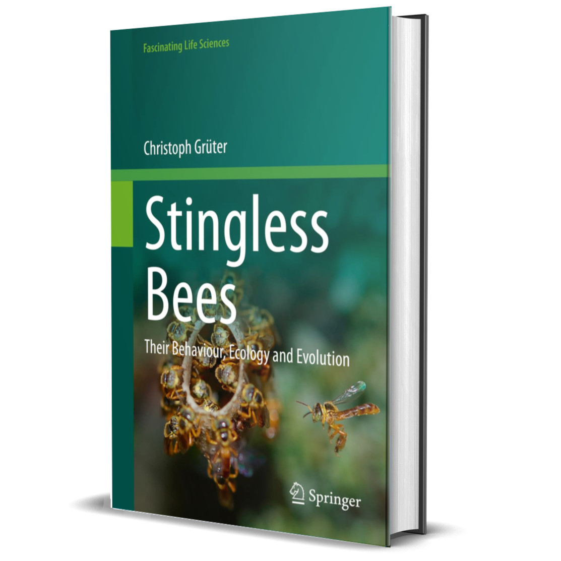 Stingless Bees: Their Behaviour, Ecology and Evolution (Fascinating Life Sciences)