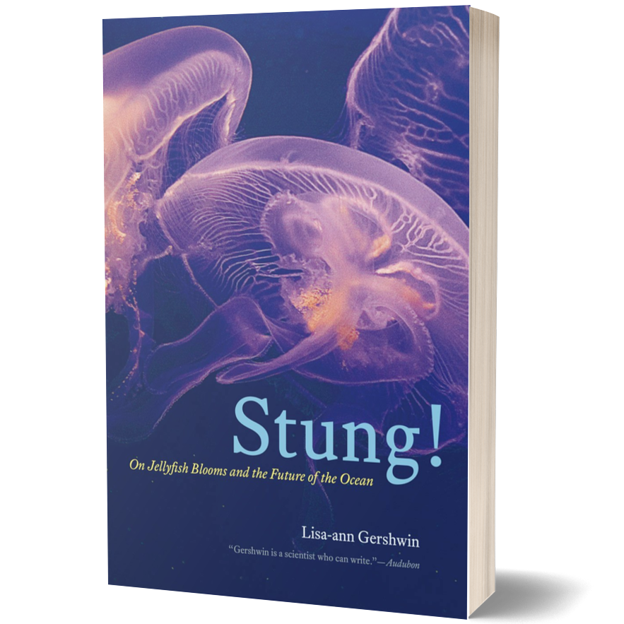 Stung!: On Jellyfish Blooms and the Future of the Ocean