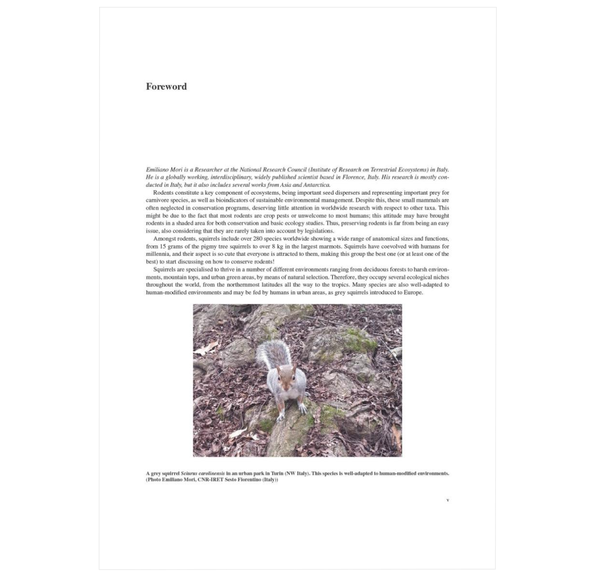 Sustainable Squirrel Conservation: A Modern Reassessment of Family Sciuridae