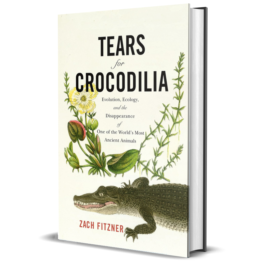 Tears for Crocodilia: Evolution, Ecology, and the Disappearance of One of the World's Most Ancient Animals