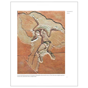 Ten Thousand Birds: Ornithology since Darwin