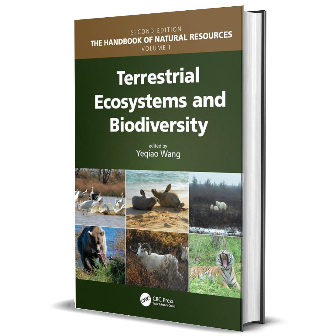 Terrestrial Ecosystems and Biodiversity (The Handbook of Natural Resources, Second Edition)