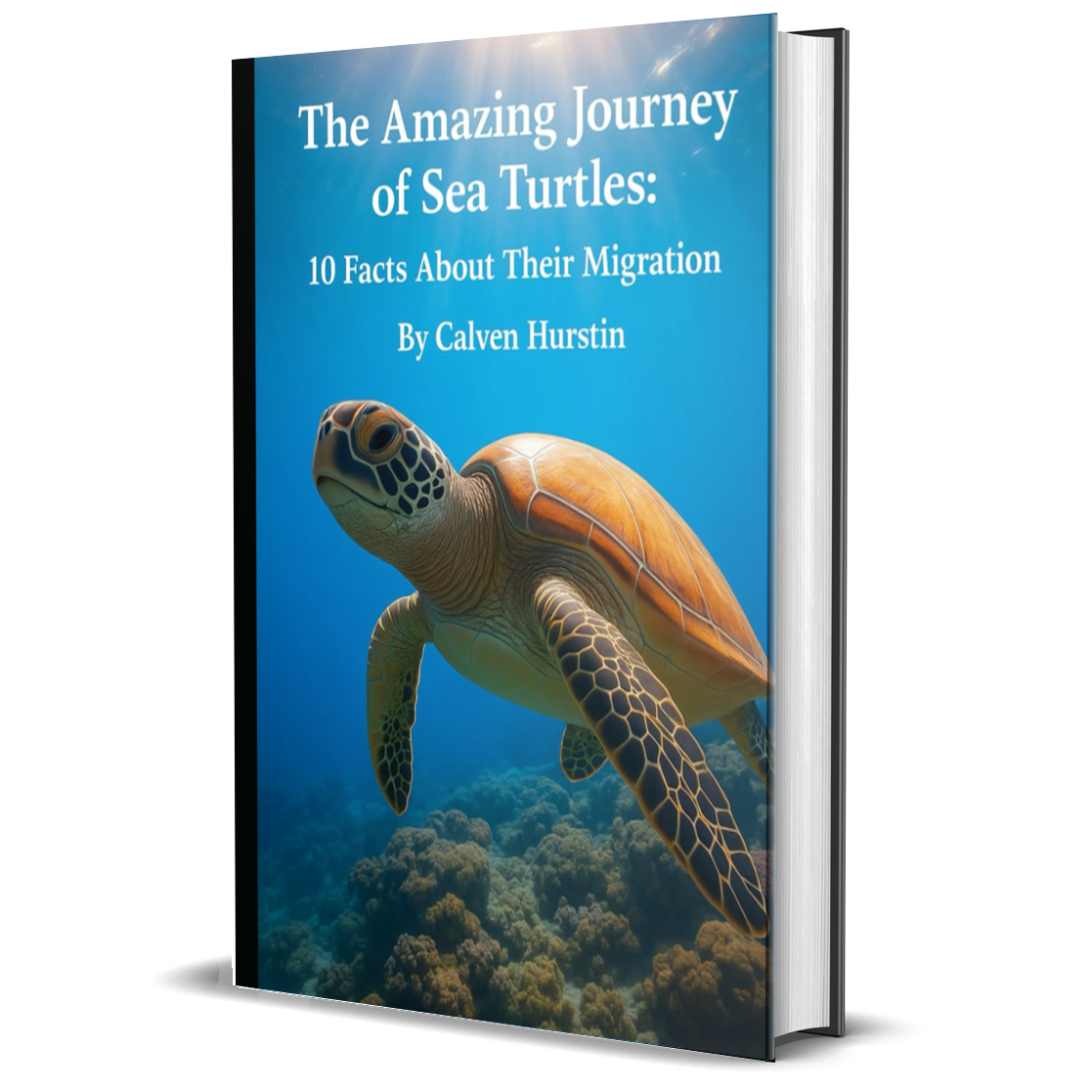 The Amazing Journey of Sea Turtles: 10 Facts About Their Migration (Planet Earth, Our Only Home)