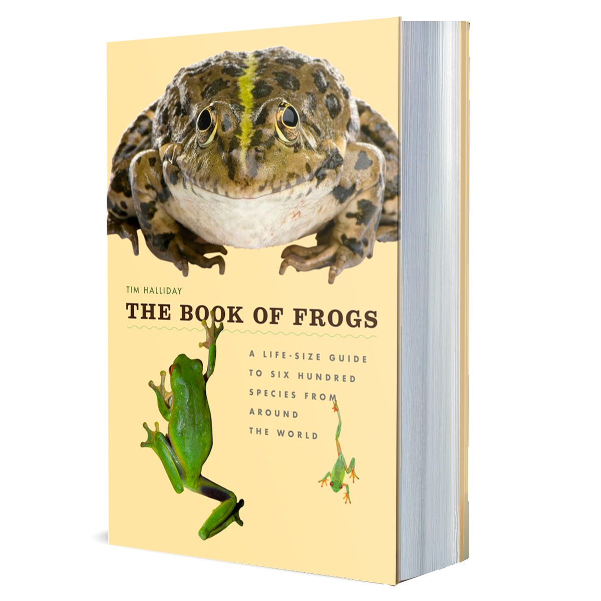 The Book of Frogs: A Life-Size Guide to Six Hundred Species from around the World