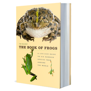 The Book of Frogs: A Life-Size Guide to Six Hundred Species from around the World