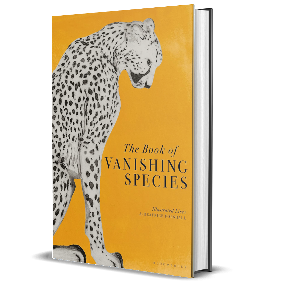 The Book of Vanishing Species: Illustrated Lives