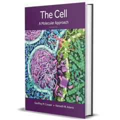 The_Cell_A_Molecular_Approach_