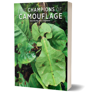 The Champions of Camouflage