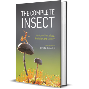 The Complete Insect Anatomy, Physiology, Evolution, and Ecology