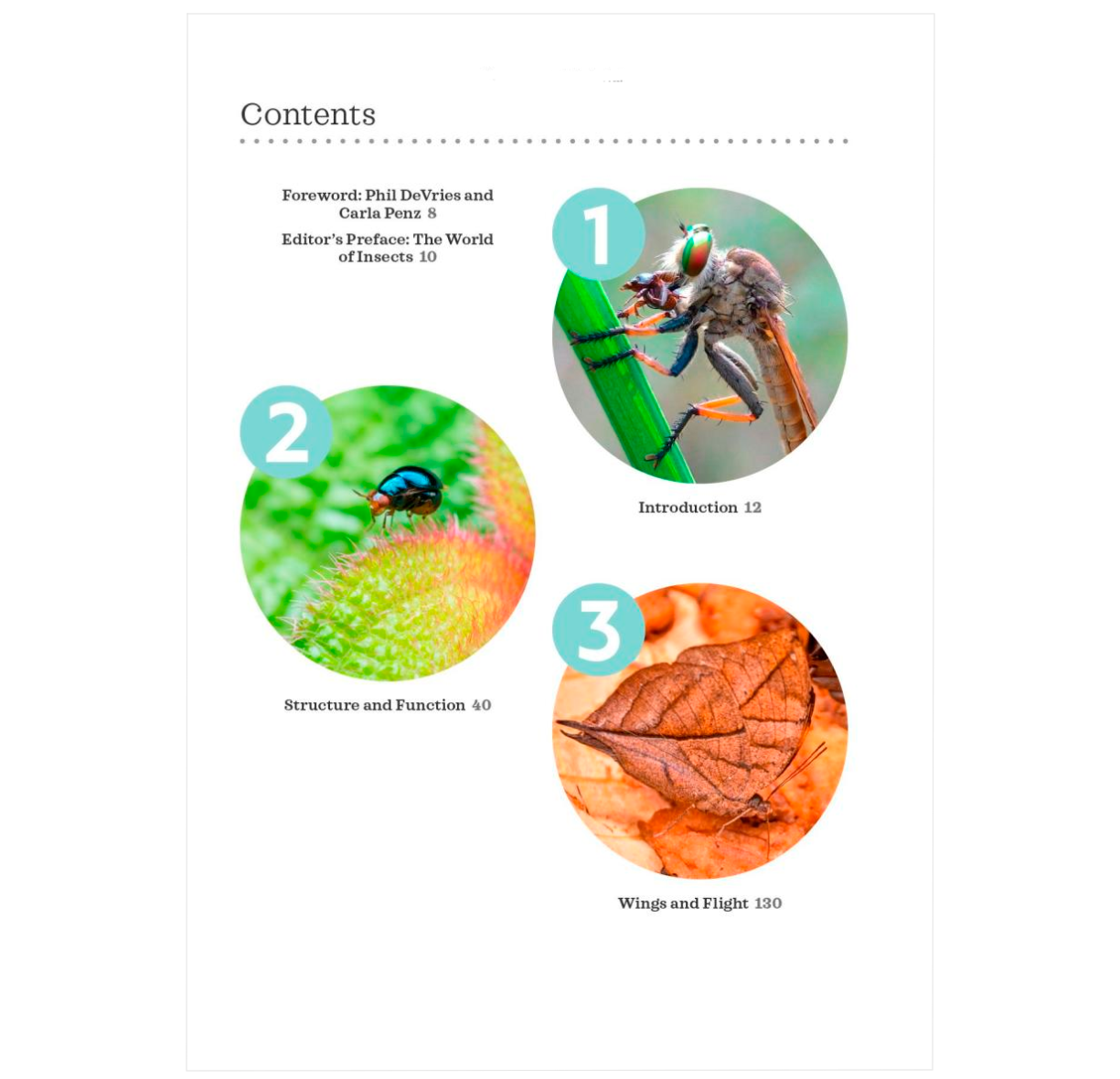 The Complete Insect Anatomy, Physiology, Evolution, and Ecology