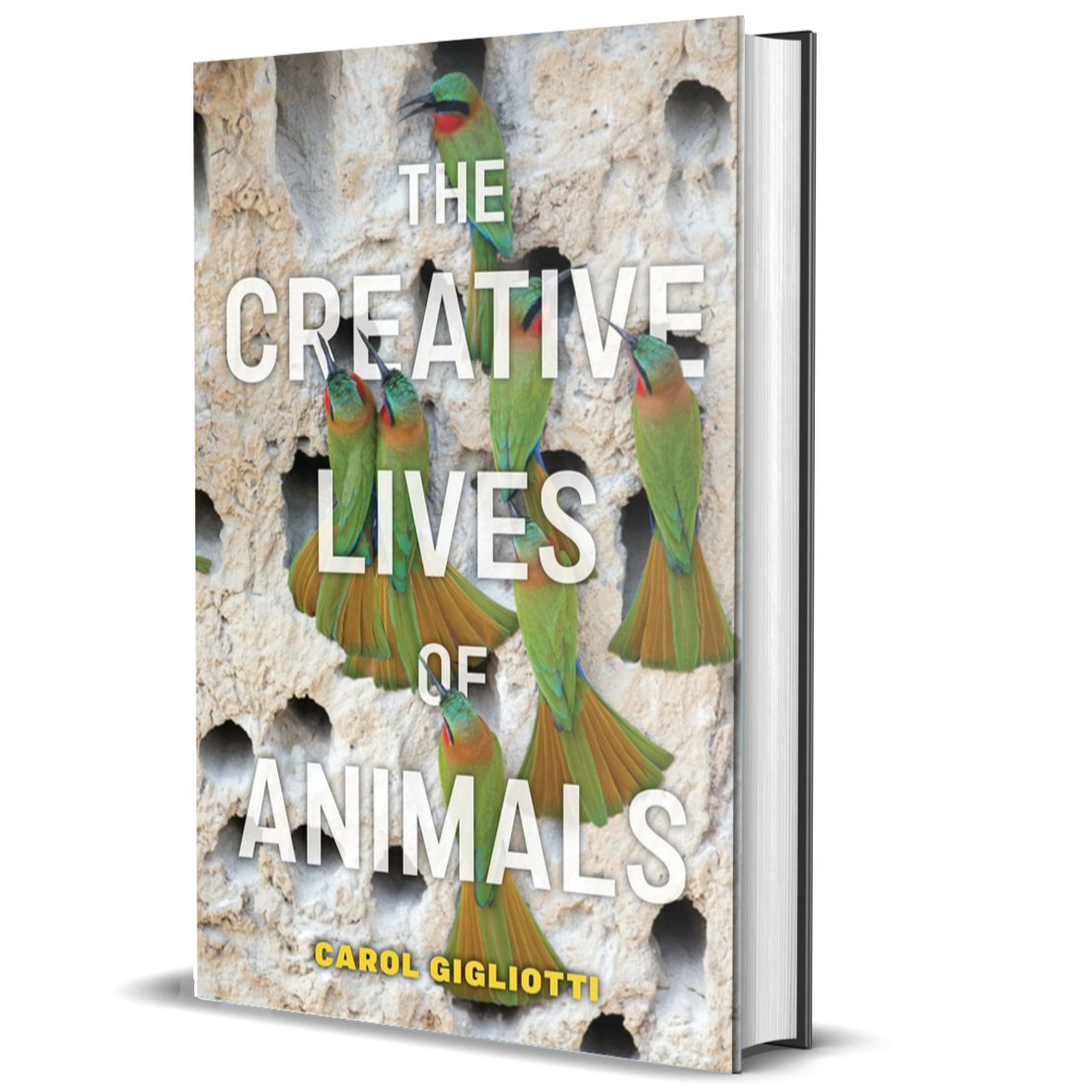The Creative Lives of Animals (Animals in Context, 4)