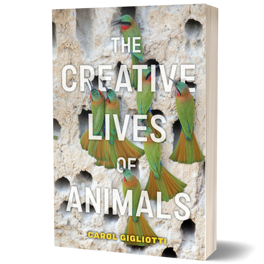 The Creative Lives of Animals (Animals in Context, 4)