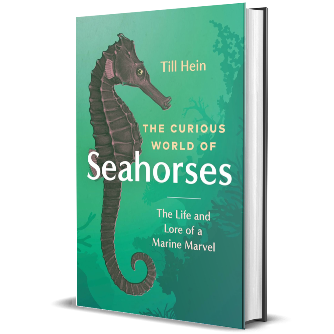 The Curious World of Seahorses: The Life and Lore of a Marine Marvel