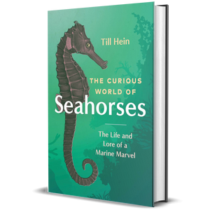 The Curious World of Seahorses: The Life and Lore of a Marine Marvel