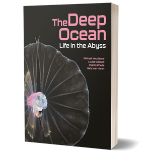 The Deep Ocean: Life in the Abyss