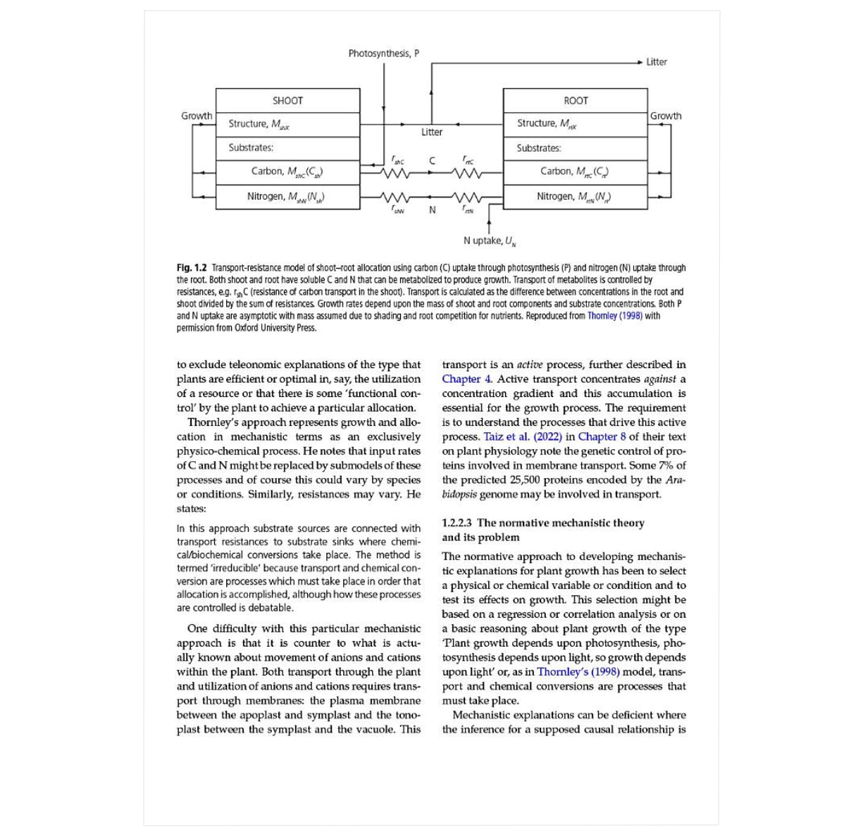 The Dynamics of Plant Growth: Integrating Morphology, Physiology, and Development