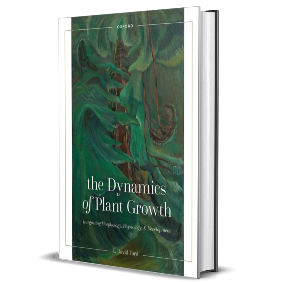 The Dynamics of Plant Growth: Integrating Morphology, Physiology, and Development