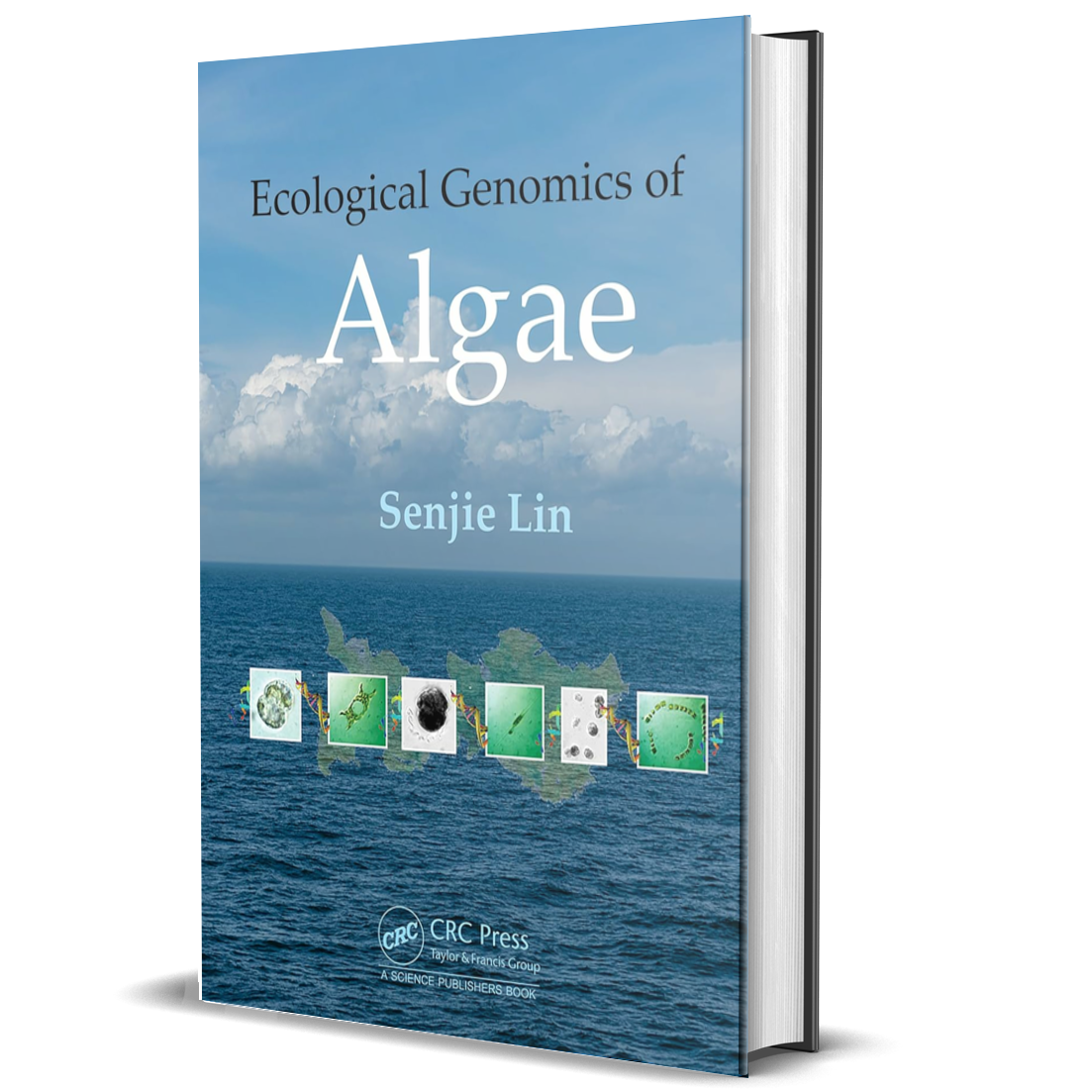 The Ecological Genomics of Algae